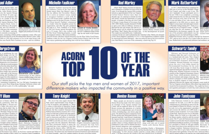 Acorn Top 10 Of The Year